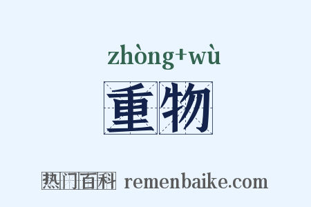 重物是什么意思的图片